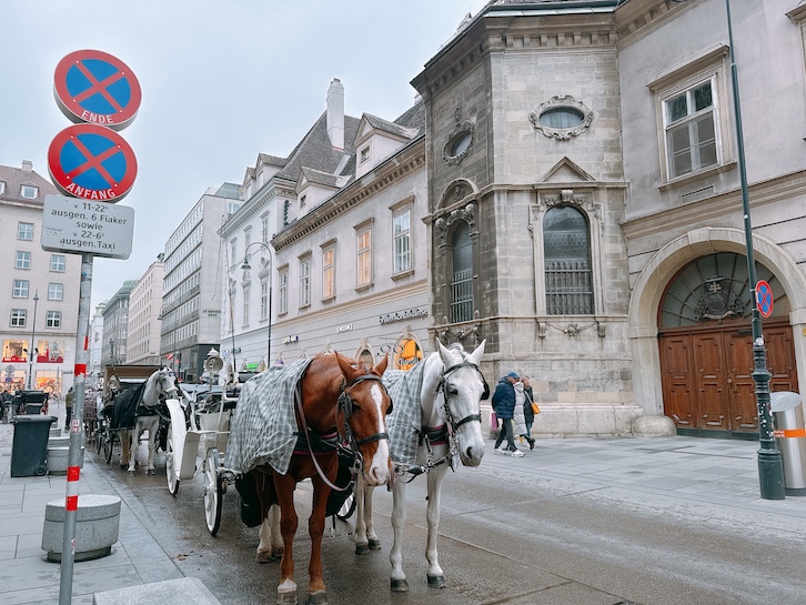 ウィーン市内の馬車